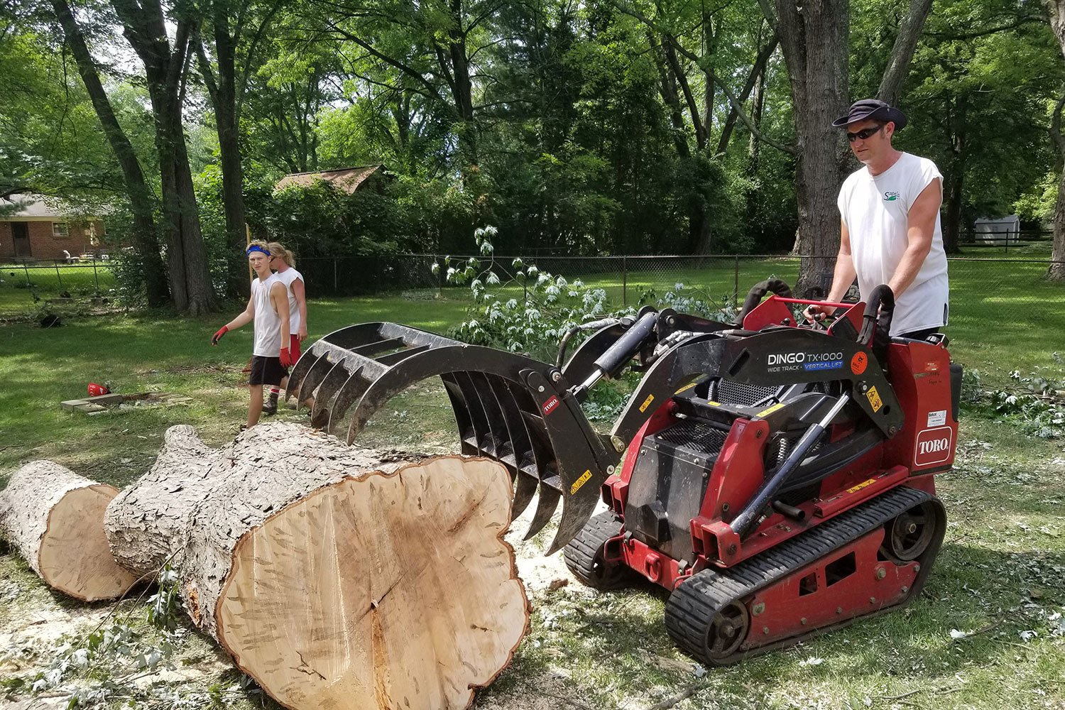 Two workers in a yard clearing fallen tree logs. One person is operating a red Toro Dingo TX1000 mini skid steer with a grapple attachment, while another worker wearing gloves walks beside the large tree trunk sections. The background features a green lawn, trees, and a fence.